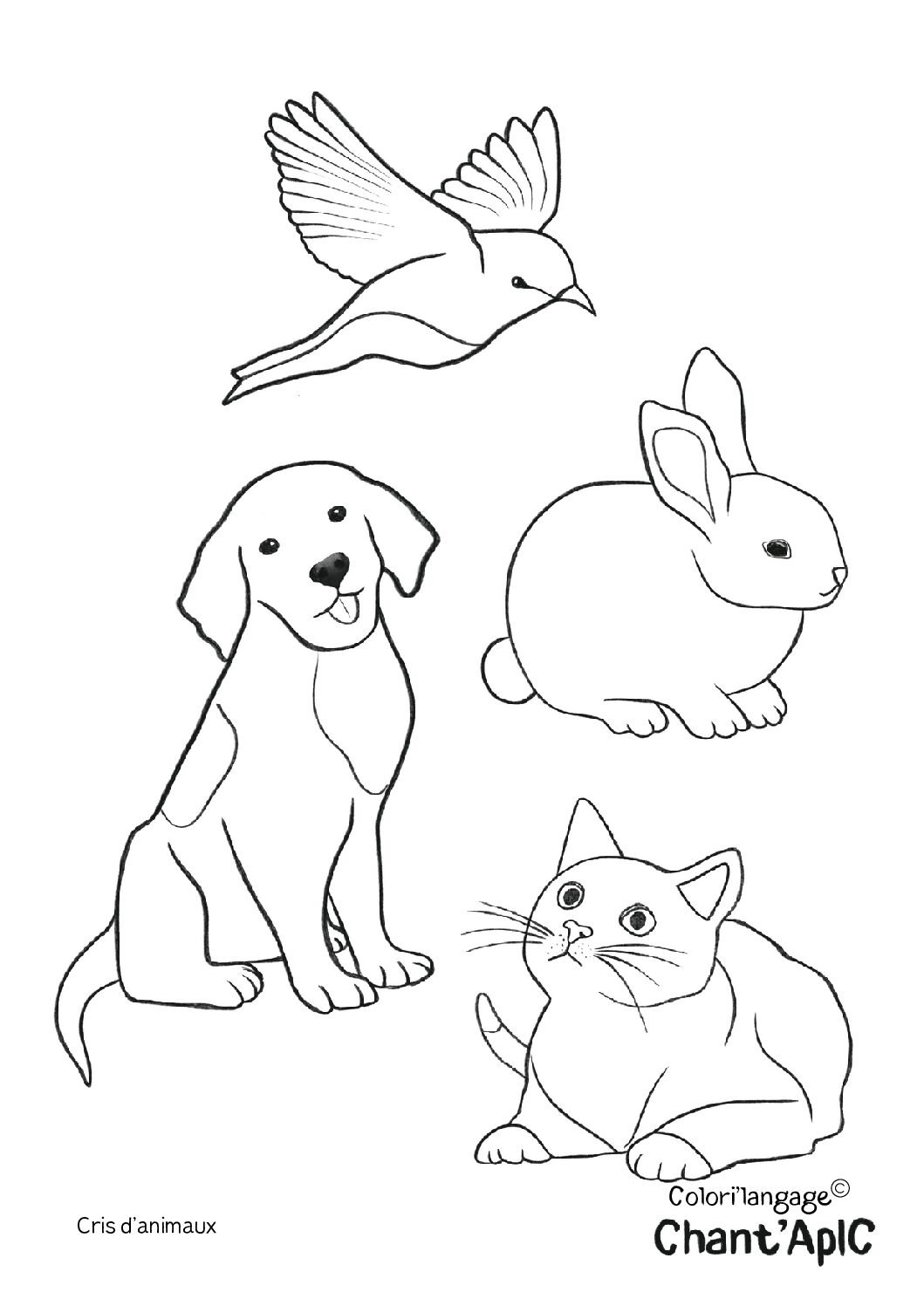 Colorilangage cris d’animaux Colorilangage cris danimaux 2 pdf
